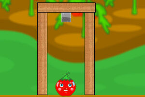 西红柿要长大