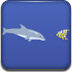 海豚奥运会